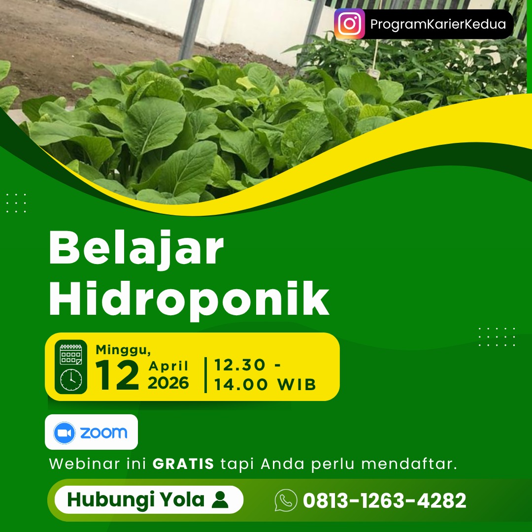 bisnisonline